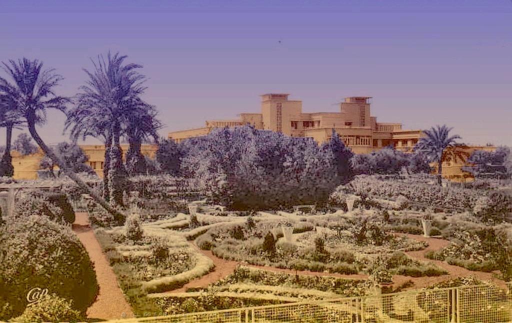 SIDI BEL ABBES 155.jpg